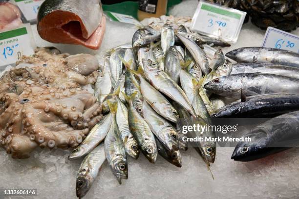 seafood for sale at mercat de la boqueria - de ices stock pictures, royalty-free photos & images