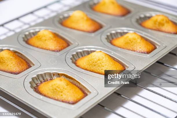 homemade baking madeleines - madeleine sponge cake stock pictures, royalty-free photos & images