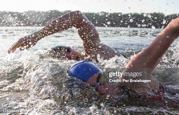 two triathletes swimming side by side - triatlon stockfoto's en -beelden