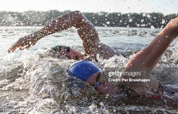 two triathletes swimming side by side - triathlon stockfoto's en -beelden