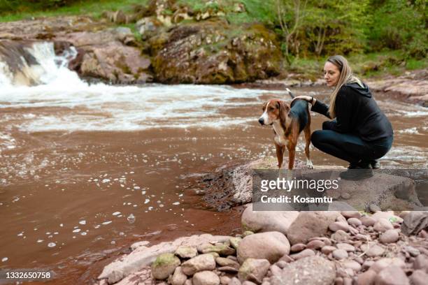 lovely and caring woman, stroking her hound dog, while both enjoy their adventure near a mountain river - hound stock pictures, royalty-free photos & images