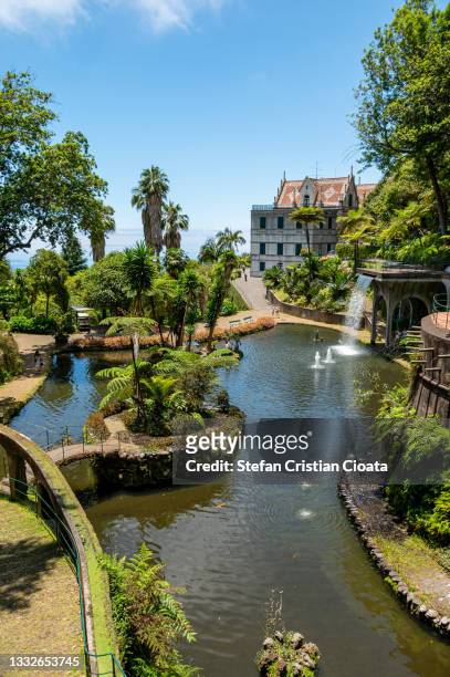 monte palace garden on madeira, portugal - monte stock pictures, royalty-free photos & images