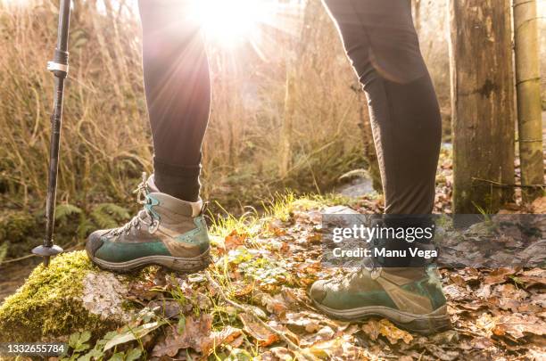 close-up of a hiker woman using trekking sticks in the mountain. - hiking boot stock pictures, royalty-free photos & images