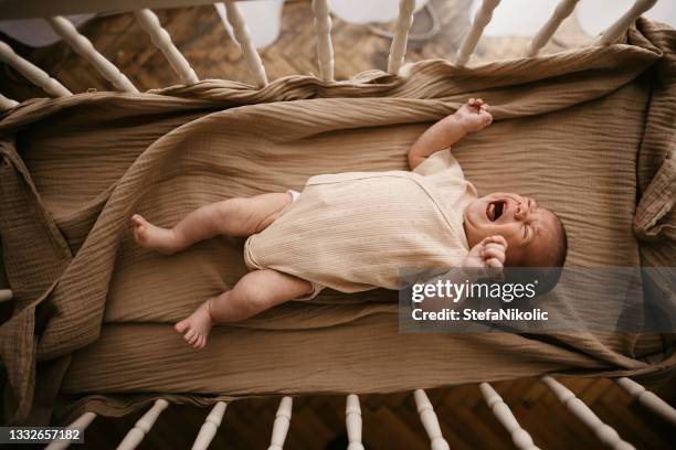 my freedom - baby crib stock pictures, royalty-free photos & images