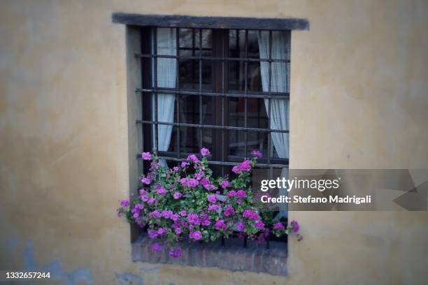 window with geranium and metal grate - metal grate stock pictures, royalty-free photos & images