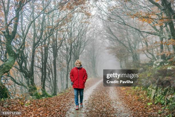 happy senior woman hiking in the autumn forest, primorska, julian alps, slovenia - senior woman walking stock pictures, royalty-free photos & images