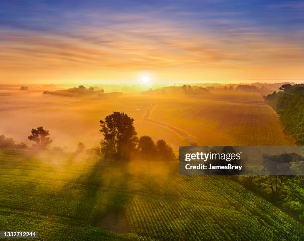 sunrise over misty fields of corn - sunrise stockfoto's en -beelden