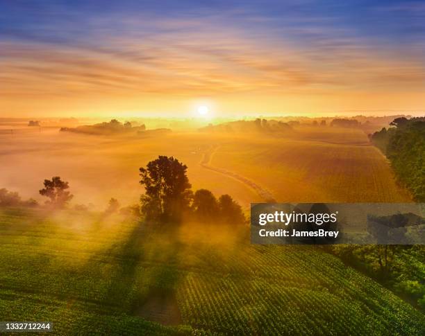 sunrise over misty fields of corn - sunrise@dawn photography stock pictures, royalty-free photos & images