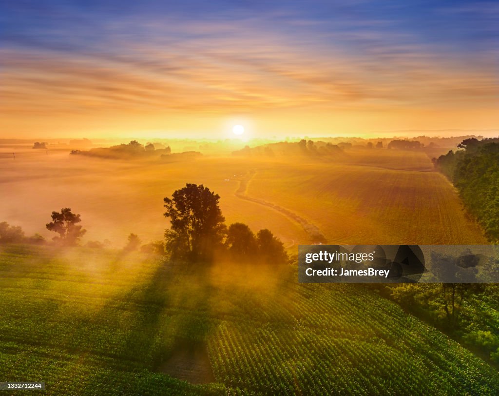 Nascer do sol sobre campos enevoados de milho