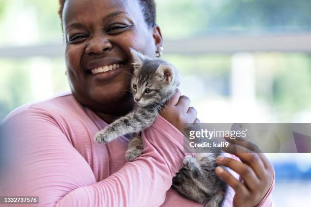 african-american woman holding kitten, smiling - kitten stock pictures, royalty-free photos & images