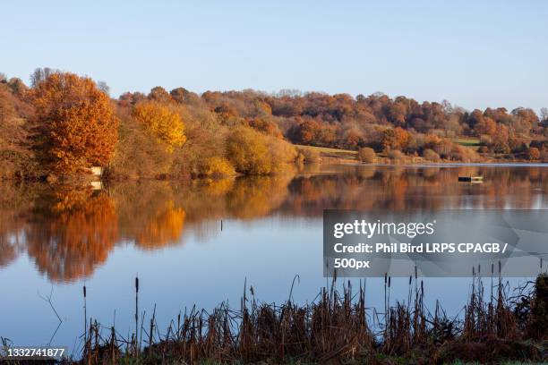 scenic view of lake by trees against sky during autumn,east grinstead,united kingdom,uk - east grinstead imagens e fotografias de stock