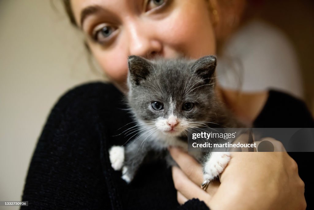 Adorable 5 weeks polydactyl kitten in young woman's arms.