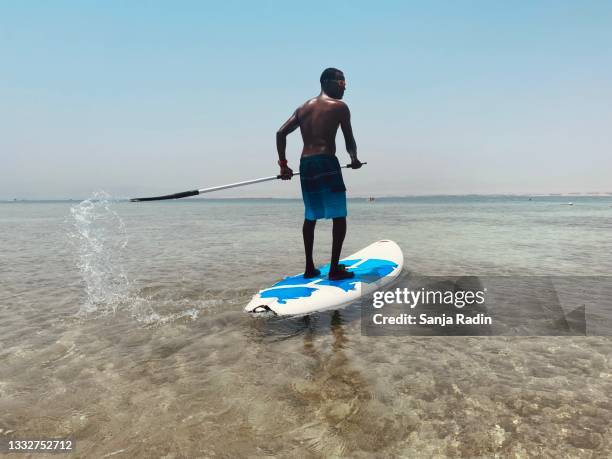 young man on paddle board. - paddle board men imagens e fotografias de stock