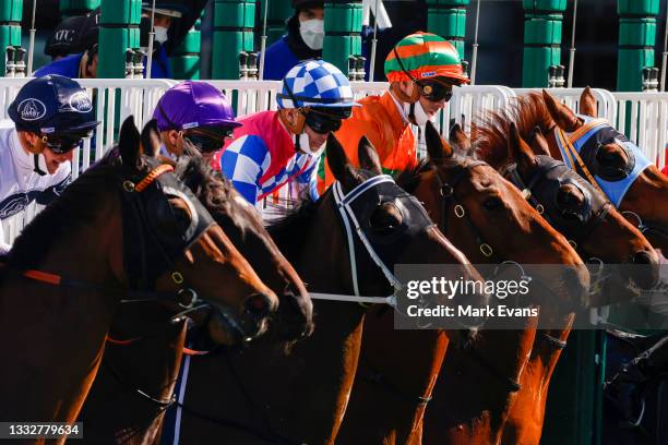 Horses jump from the barriers for race 2 the Cliff Clare Handicap during Sydney Racing at Royal Randwick Racecourse on August 07, 2021 in Sydney,...
