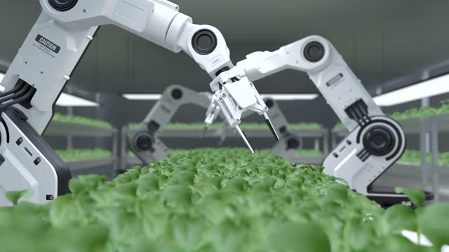 Smart robotic farmers concept, robot farmers