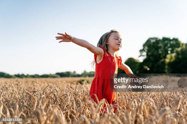 portrait of a little girl standing in a ripe field of wheat in sunset. - child eyes closed stock pictures, royalty-free photos & images