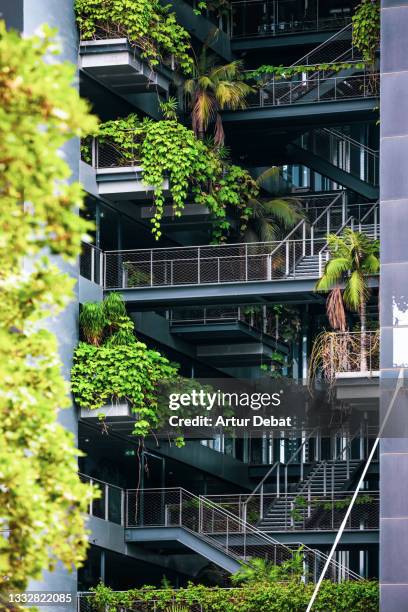 green vertical garden inside office building in the city. - energy efficient building stock pictures, royalty-free photos & images