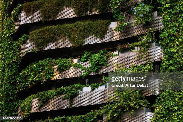 green building covered with vertical garden in the city. - sustainable design stockfoto's en -beelden
