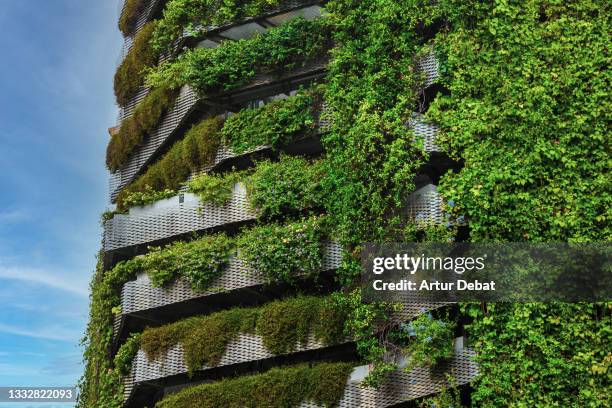 green building covered with vertical garden in the city. - sci fi food stockfoto's en -beelden