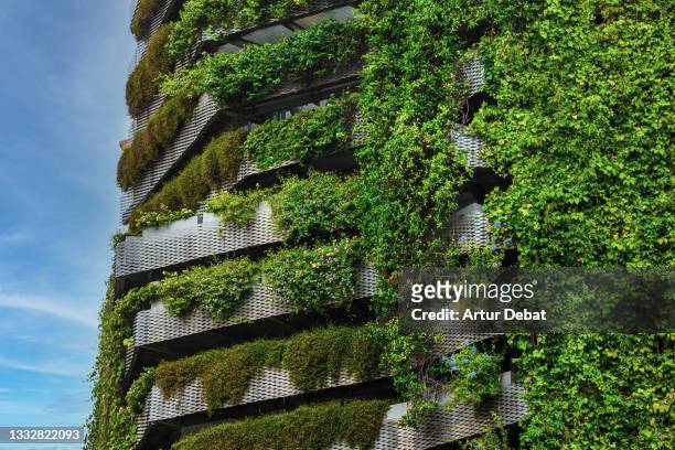 green building covered with vertical garden in the city. - food innovation stock pictures, royalty-free photos & images