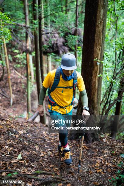 a male hiker on a mountain forest trail - hiking pole stock pictures, royalty-free photos & images