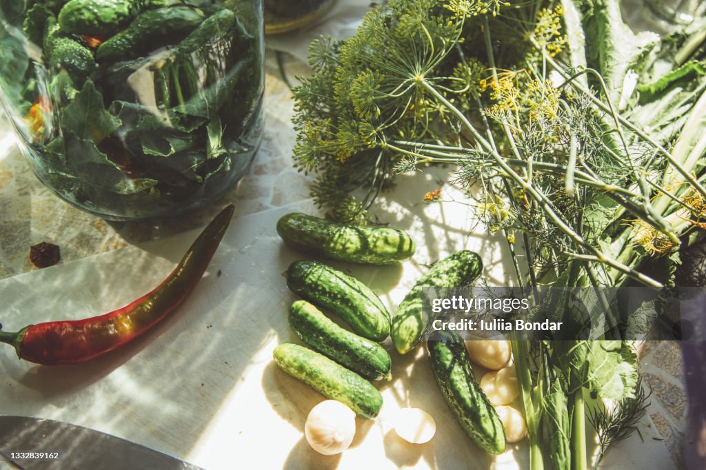 Pickles. Marinated cucumbers.