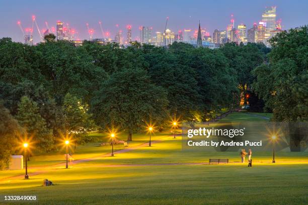 london skyline from primrose hill, london, united kingdom - primrose hill stock pictures, royalty-free photos & images