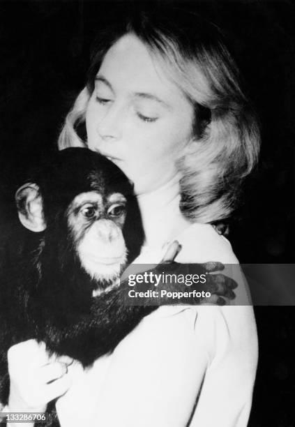 British primatologist Jane Goodall at the National Zoo in Washington DC with the zoo's eleven month-old chimpanzee Lulu, 29th February 1964.