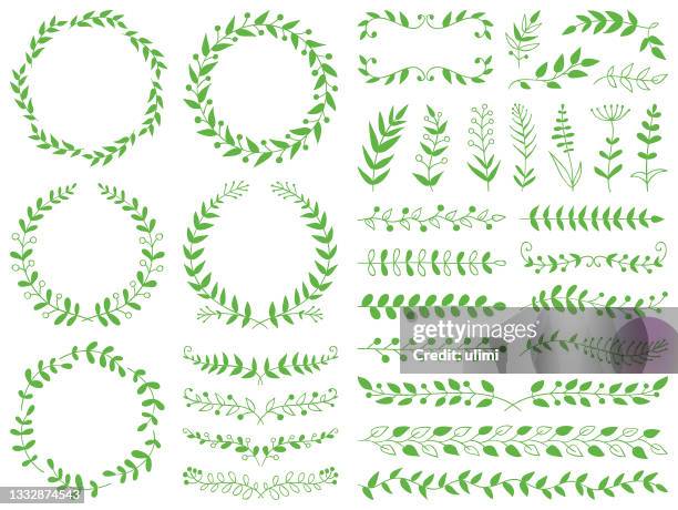 handgezeichnete pflanzen, trennwände, kränze, rahmenrahmen - floral wreath stock-grafiken, -clipart, -cartoons und -symbole