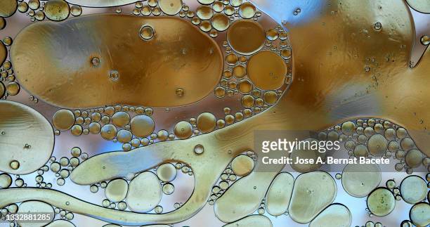 full frame of bubbles and drops of olive oil floating in the water of a saucepan - amoeba imagens e fotografias de stock