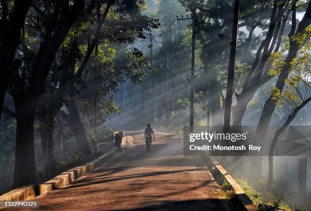 a mist morning - winter bangladesh fotografías e imágenes de stock