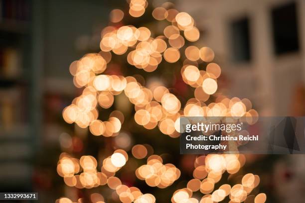 bokeh image of christmas tree - christmas tree stock photos et images de collection