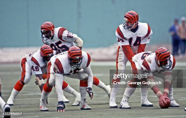 Quarterback Ken Anderson of the Cincinnati Bengals stands behind center Blair Bush as offensive lineman Max Montoya and fullback Pete Johnson wait...