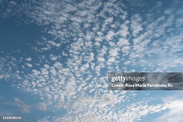 altocumulus clouds. - altocúmulo fotografías e imágenes de stock