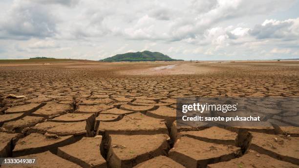 dry cracks in the land, serious water shortages. - reservatório - fotografias e filmes do acervo