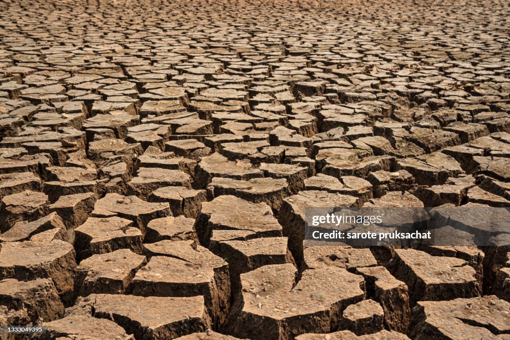 Dry cracks in the land, serious water shortages.