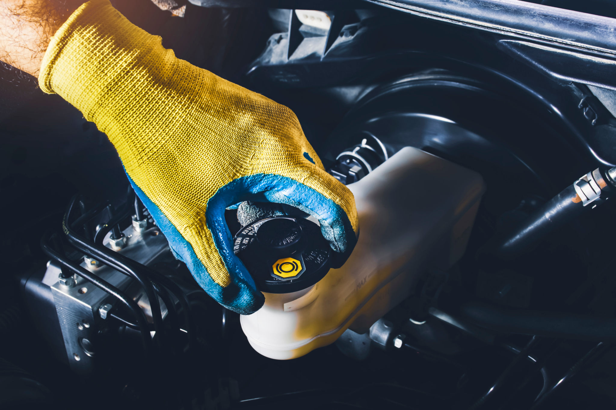 car fluid check