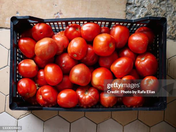 tomatoes in the basket - valencia basket stock-fotos und bilder