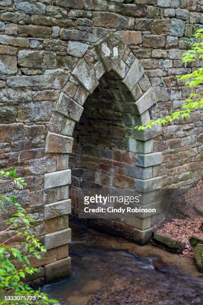 poinsett bridge 6 - brick arch stock pictures, royalty-free photos & images
