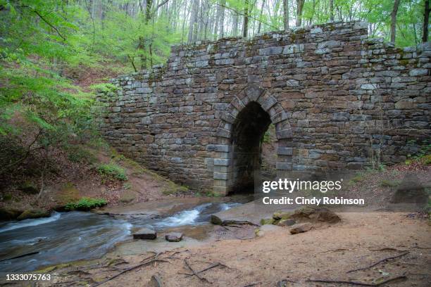 poinsett bridge 5 - brick arch stock pictures, royalty-free photos & images