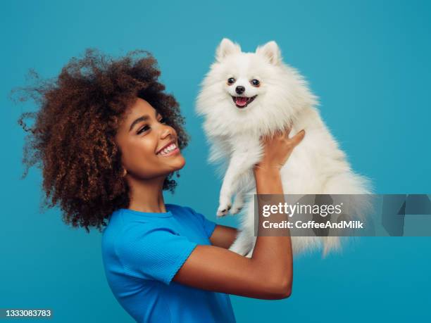 retrato de estudio de una joven afroamericana sonriente sosteniendo a un perrito - animal joven fotografías e imágenes de stock