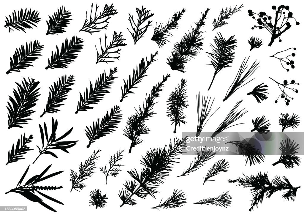 Real Christmas plants and floral patterns