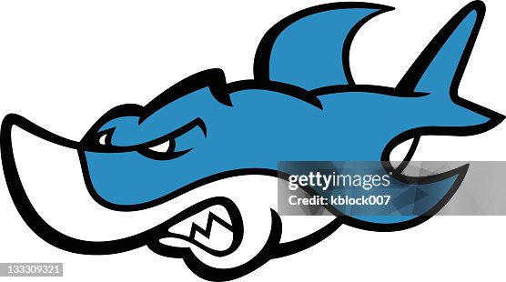 Shark Shark