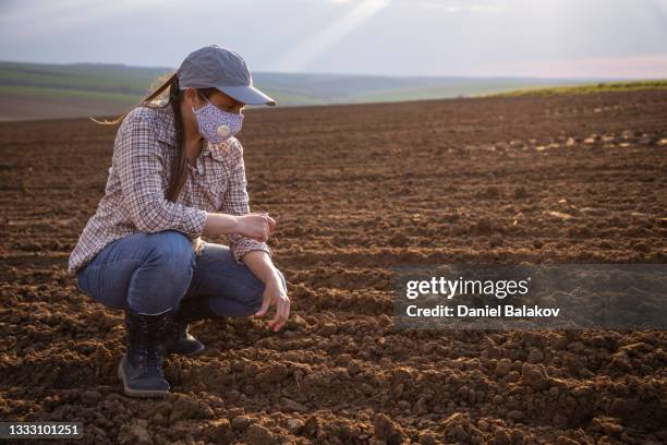 farmer wearing protective face mask is checking the soil at the end of working day during covid-19 pandemic. - monoculture stock pictures, royalty-free photos & images