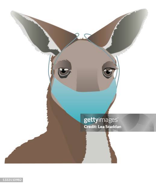 309 Cartoon Kangaroo Photos and Premium High Res Pictures - Getty Images 309 Cartoon Kangaroo Photos and Premium High Res Pictures - Getty Images