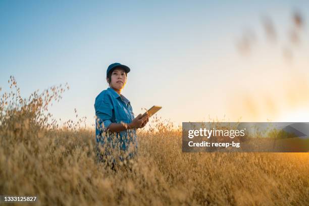 junge landwirtin mit digitalem tablet auf dem feld - issue analysis stock-fotos und bilder