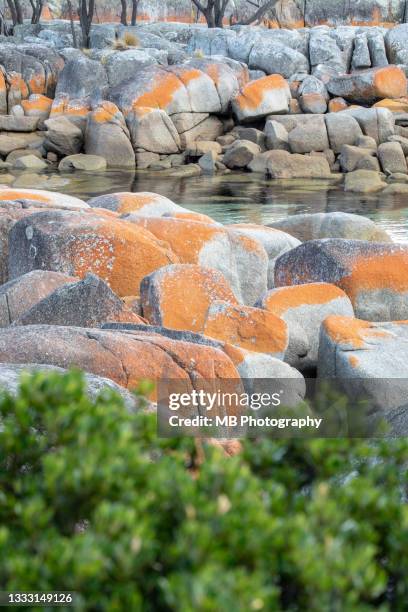 bay of fires - bay of fires - fotografias e filmes do acervo