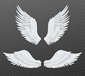 Realistic wings. Beautiful isolated angel wings, pair of 3d birds white feathers, freedom and spiritual symbols flight animals parts. Heaven angelic design element vector set