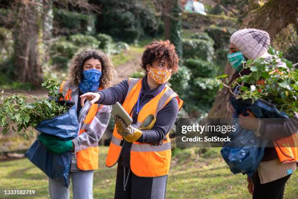 volunteers following covid-19 guidelines - community garden volunteer stock pictures, royalty-free photos & images