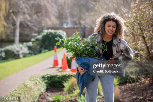 working with chronic pain - pelvis stock pictures, royalty-free photos & images